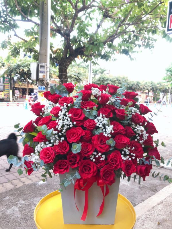 Shop Hoa Tươi Thị Trấn Phú Long, Hàm Thuận Bắc, Bình Thuận