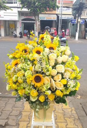 Shop Hoa Tươi Thị Trấn Đức Tài, Đức Linh, Bình Thuận