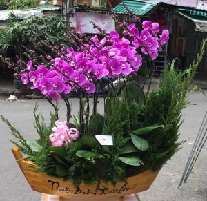 Shop Hoa Tươi Thị Trấn Tân Minh, Hàm Tân, Bình Thuận