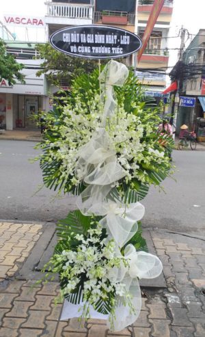 Shop Hoa Tươi Thị Trấn Phú Long, Hàm Thuận Bắc, Bình Thuận