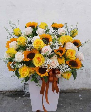Shop Hoa Tươi Thị Trấn Phú Long, Hàm Thuận Bắc, Bình Thuận