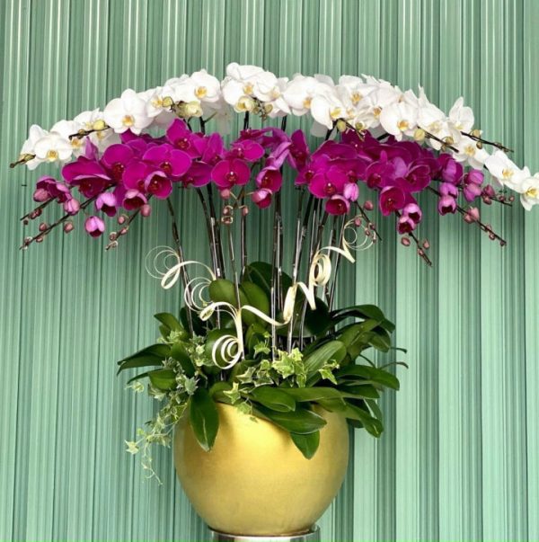 Shop Hoa Tươi Thị Trấn Lạc Tánh, Tánh Linh, Bình Thuận