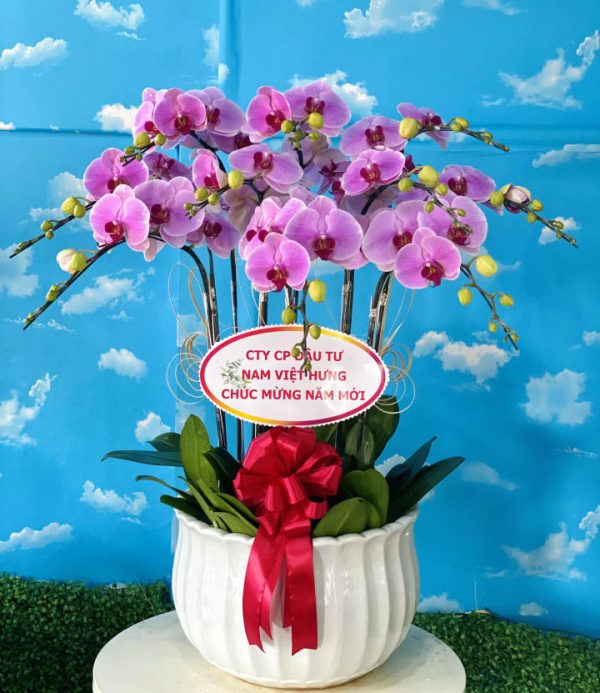 Shop Hoa Tươi Thị Trấn Phú Long, Hàm Thuận Bắc, Bình Thuận