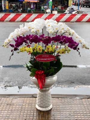 Shop Hoa Tươi Thị Trấn Liên Hương, Tuy Phong, Bình Thuận