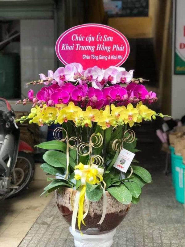 Shop Hoa Tươi Thị Trấn Lương Sơn, Bắc Bình, Bình Thuận