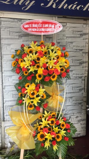 Shop Hoa Tươi Thị Trấn Chợ Lầu, Bắc Bình, Bình Thuận